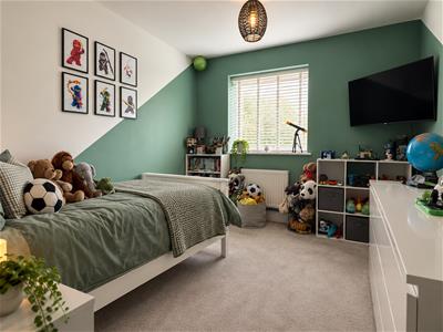 Picture 13